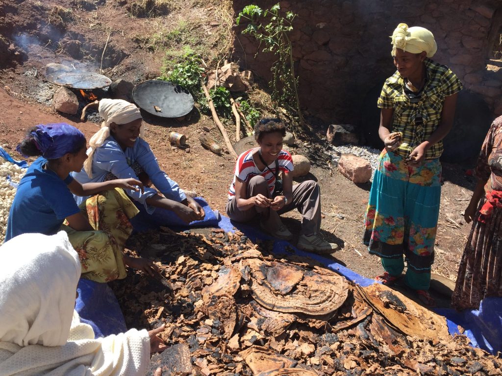 Dr Mire believes one of the most exciting research areas of the history of the Horn of Africa is the origin of food production, including festive drinks like the one being prepared for the New Year at Lalibela, Ethiopia, Christmas 2015